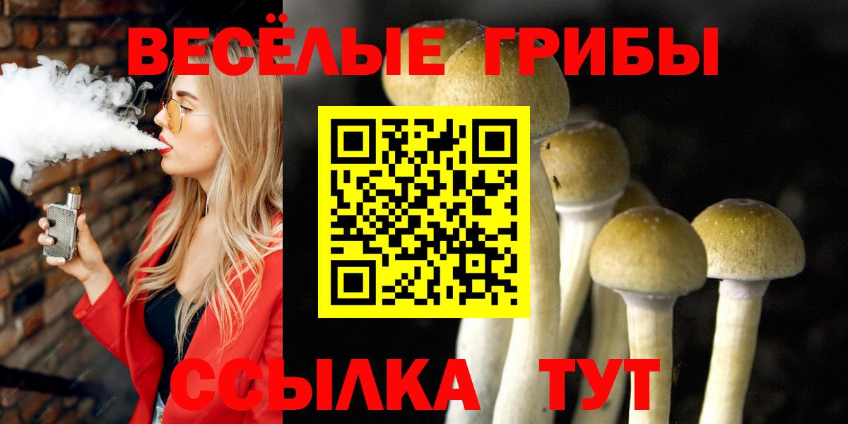 Псилоцибиновые грибы Psilocybe Нижний Тагил
