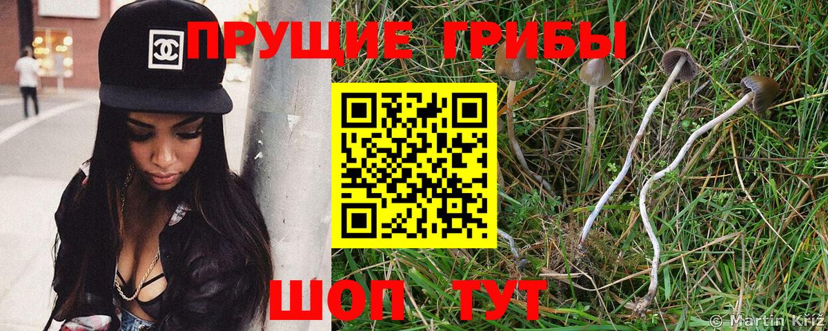 Нижний Тагил  Псилоцибиновые грибы Psilocybine cubensis  Вход с VPN 